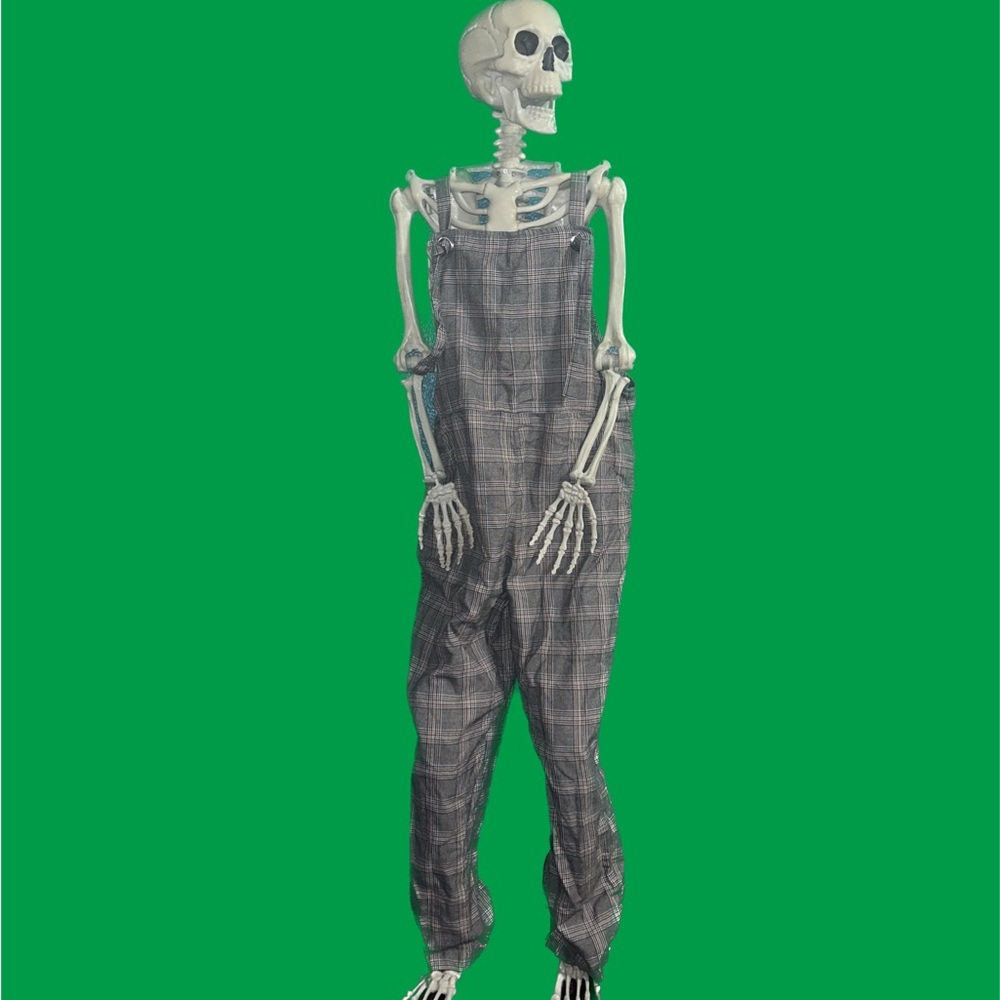 Plaid overall pants